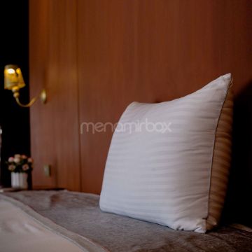  بالش سیلویا